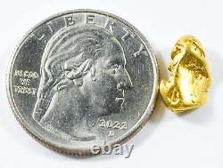 #224 Alaskan BC Natural Gold Nugget 2.35 Grams Genuine
