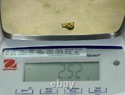 #226 Alaskan BC Natural Gold Nugget 2.52 Grams Genuine
