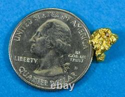 #228 Alaskan BC Natural Gold Nugget 2.06 Grams Genuine