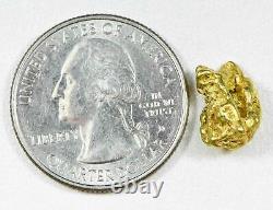 #228 Alaskan BC Natural Gold Nugget 2.81 Grams Genuine