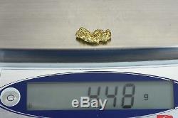 #234 Alaskan-Yukon BC Natural Gold Nugget 4.48 Grams Genuine