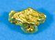 #236 Alaskan Bc Natural Gold Nugget 2.63 Grams Genuine