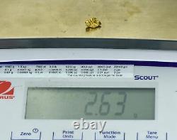 #236 Alaskan BC Natural Gold Nugget 2.63 Grams Genuine