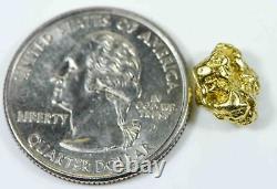 #237 Alaskan BC Natural Gold Nugget 2.55 Grams Genuine