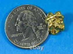 #237 Alaskan BC Natural Gold Nugget 4.06 Grams Genuine