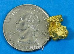 #237 Alaskan BC Natural Gold Nugget 4.23 Grams Genuine