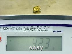 #237 Alaskan BC Natural Gold Nugget 4.23 Grams Genuine