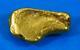 #240 Alaskan Bc Natural Gold Nugget 2.80 Grams Genuine