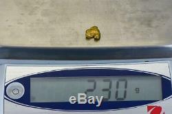 #242 Alaskan BC Natural Gold Nugget 2.30 Grams Genuine