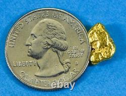#242 Alaskan BC Natural Gold Nugget 2.96 Grams Genuine