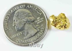 #248 Alaskan BC Natural Gold Nugget 2.81 Grams Genuine