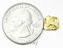 #25 Alaskan BC Natural Gold Nugget 1.08 Grams Genuine