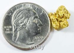 #250 Alaskan BC Natural Gold Nugget 3.19 Grams Genuine