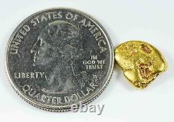 #251 Alaskan BC Natural Gold Nugget 2.61 Grams Genuine