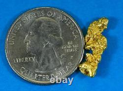 #256 Alaskan BC Natural Gold Nugget 2.02 Grams Genuine