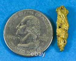 #257 Alaskan BC Natural Gold Nugget 3.65 Grams Genuine
