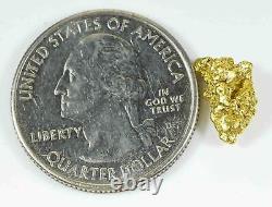 #26 Alaskan BC Natural Gold Nugget 1.35 Grams Genuine
