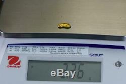 #261 Alaskan BC Natural Gold Nugget 2.36 Grams Genuine