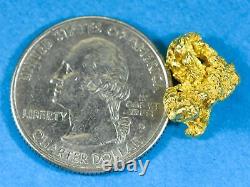 #262 Alaskan BC Natural Gold Nugget 2.94 Grams Genuine