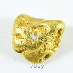 #263 Alaskan BC Natural Gold Nugget 3.13 Grams Genuine