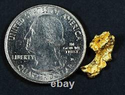 #27 Brazil Crystalline Natural Gold Nugget 1.45 Grams