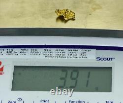 #278 Alaskan BC Natural Gold Nugget 3.91 Grams Genuine