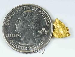 #28 Alaskan BC Natural Gold Nugget 1.22 Grams Genuine