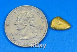#28 Alaskan BC Natural Gold Nugget 1.68 Grams Genuine