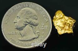 #28 Australian Natural Gold Nugget With Quartz Weighs 3.67 Grams