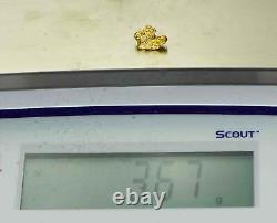 #28 Australian Natural Gold Nugget With Quartz Weighs 3.67 Grams