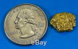 #285 Alaskan BC Natural Gold Nugget 3.33 Grams Genuine