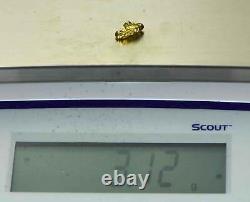 #286 Alaskan BC Natural Gold Nugget 3.12 Grams Genuine