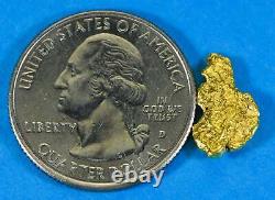 #29 Alaskan BC Natural Gold Nugget 1.62 Grams Genuine