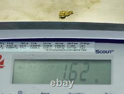 #29 Alaskan BC Natural Gold Nugget 1.62 Grams Genuine