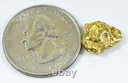 #291 Alaskan BC Natural Gold Nugget 2.88 Grams Genuine