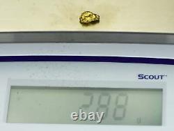 #291 Alaskan BC Natural Gold Nugget 2.88 Grams Genuine