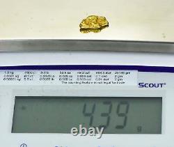 #292 Alaskan BC Natural Gold Nugget 4.39 Grams Genuine