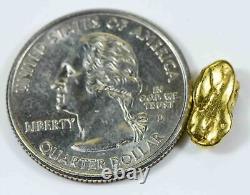#293 Alaskan BC Natural Gold Nugget 2.33 Grams Genuine