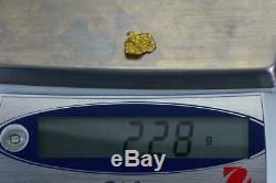 #298 Alaskan BC Natural Gold Nugget 2.28 Grams Genuine