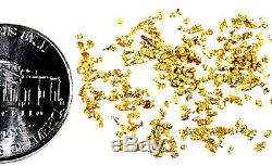 3.000 Grams Alaskan Yukon Bc Natural Pure Gold Nuggets Mesh #30 W Bottle (#b300)