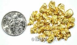 3.111 Grams Alaskan Yukon Bc Natural Pure Gold Nuggets #6 Mesh Free Shipping