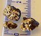 3 Genuine, Natural, Australian Gold In Hematite Nuggets 1.62 Gram Gross