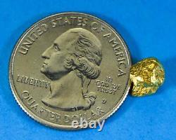 #30 Alaskan BC Natural Gold Nugget 1.62 Grams Genuine