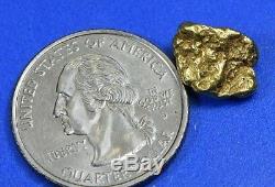 #300 Alaskan-Yukon BC Natural Gold Nugget 3.72 Grams Genuine