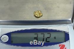 #300 Alaskan-Yukon BC Natural Gold Nugget 3.72 Grams Genuine