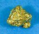 #301 Alaskan Bc Natural Gold Nugget 4.17 Grams Genuine