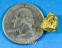 #301 Alaskan BC Natural Gold Nugget 4.17 Grams Genuine