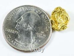 #303 Alaskan BC Natural Gold Nugget 2.70 Grams Genuine