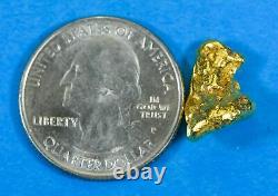 #304 Alaskan BC Natural Gold Nugget 4.89 Grams Genuine