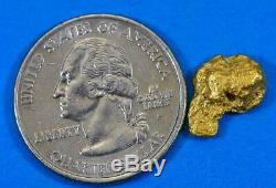 #305 Alaskan BC Natural Gold Nugget 2.33 Grams Genuine